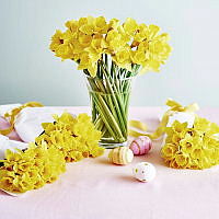 Helgbuketten v15 Daffodils 18pc 7058782351684_A.jpg